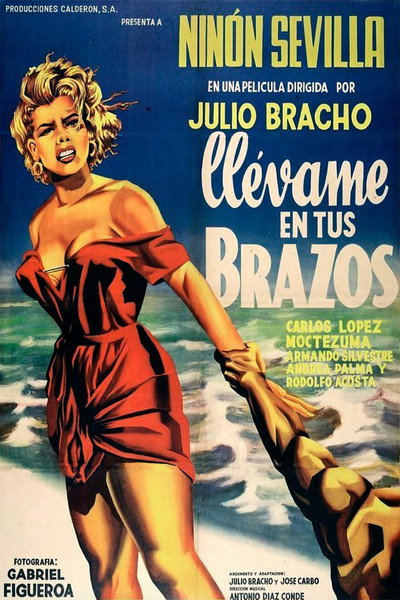 Póster de Llévame en tus brazos