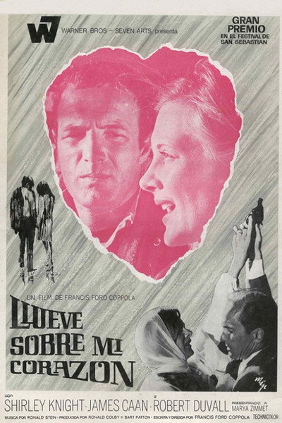 Póster de Llueve sobre mi corazón
