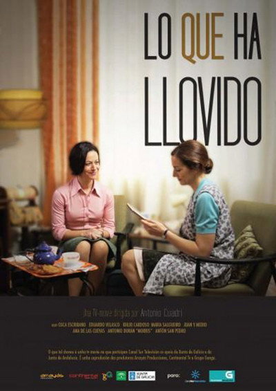 Póster de Lo que ha llovido