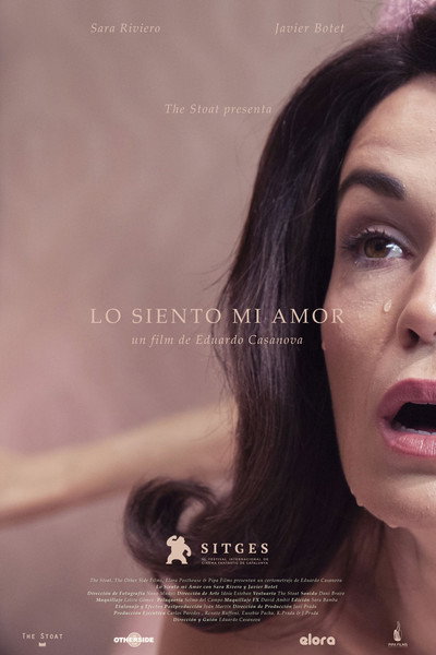 Póster de Lo siento mi amor