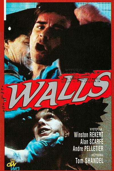Póster de Lock Up