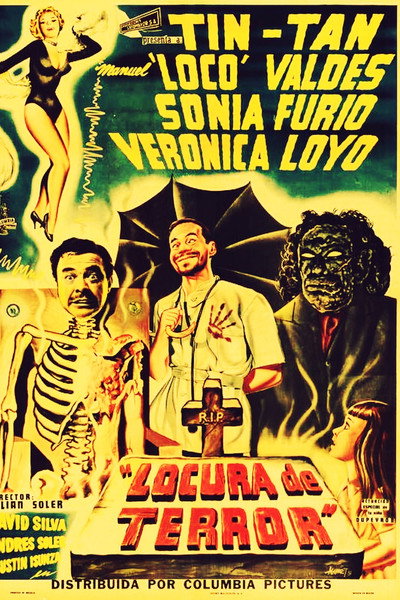 Póster de Locura de terror