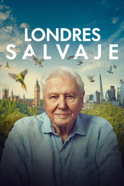 Póster de Londres salvaje