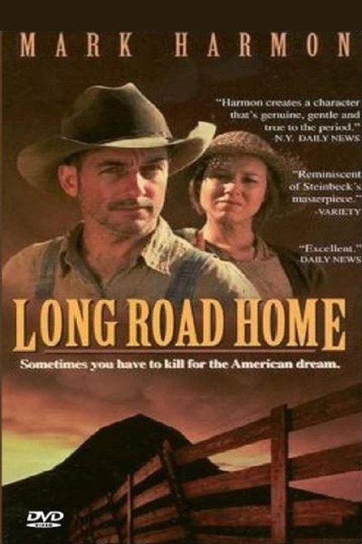 Póster de Long Road Home