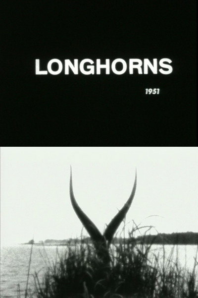 Póster de Longhorns