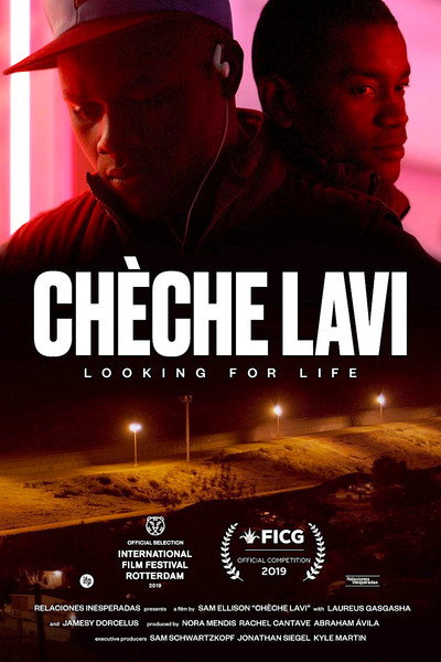 Póster de Looking for Life