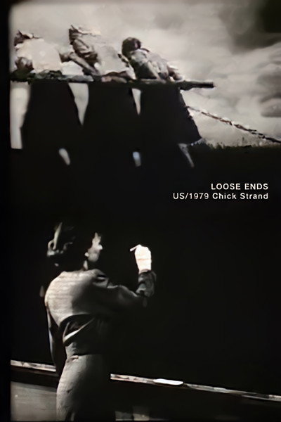 Póster de Loose Ends