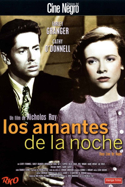 Póster de Los amantes de la noche