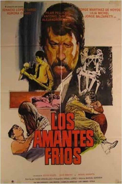 Póster de Los amantes frios