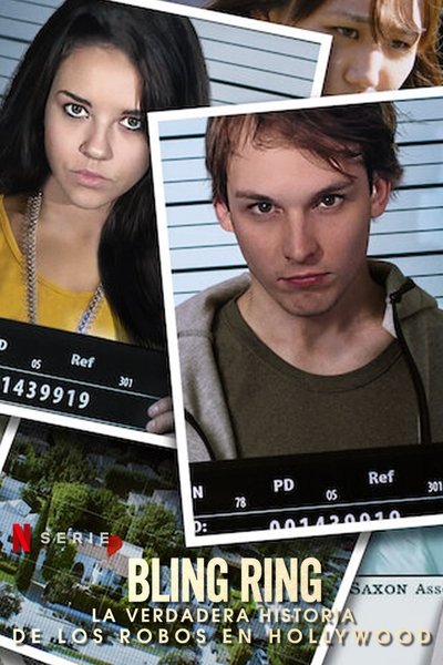Póster de Los Bling Ring desvalijan Hollywood