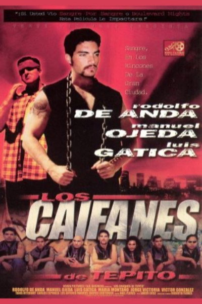 Póster de Los caifanes de Tepito