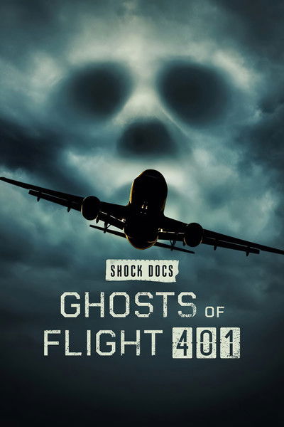 Póster de Los fantasmas del vuelo 401