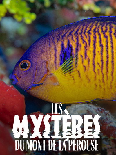Póster de Los misterios del monte La Pérouse