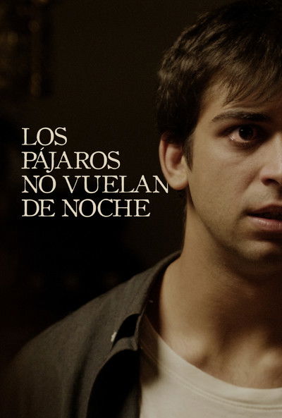 Póster de Los pájaros no vuelan de noche
