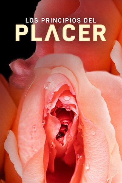 Póster de Los principios del placer