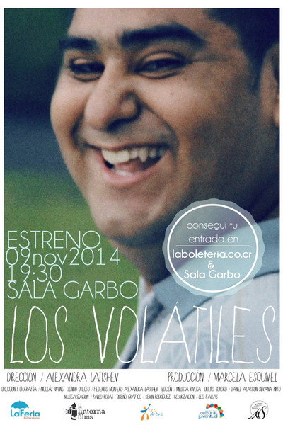 Póster de Los Volátiles