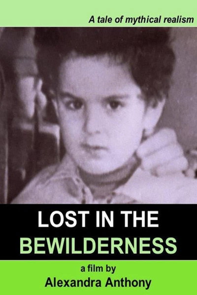 Póster de Lost in the Bewilderness
