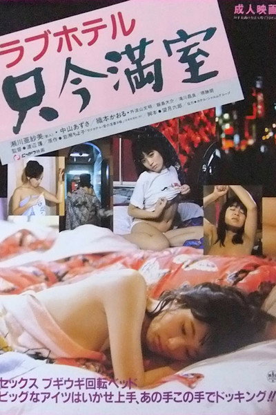 Póster de Love Hotel: No Vacancy