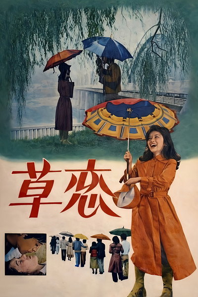 Póster de Love in the Rain