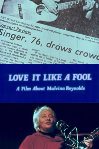 Póster de Love It Like a Fool
