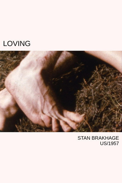 Póster de Loving