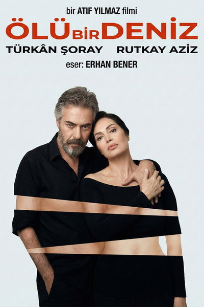 Póster de Ölü Bir Deniz