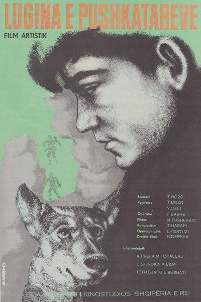 Póster de Lugina e pushkatarëve