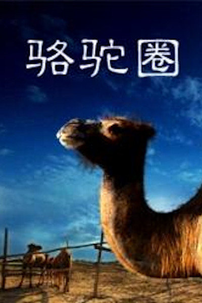Póster de Luo tuo quan
