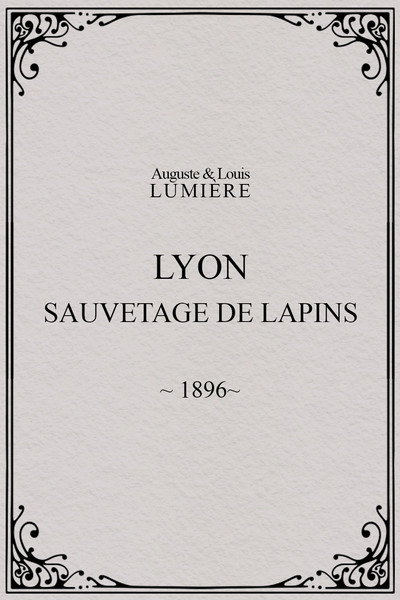 Póster de Lyon, sauvetage de lapins; innondations
