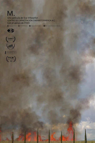 Póster de M