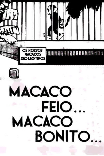Póster de Macaco Feio... Macaco Bonito
