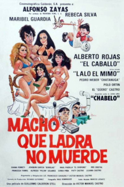 Póster de Macho que ladra no muerde