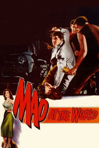 Póster de Mad at the World