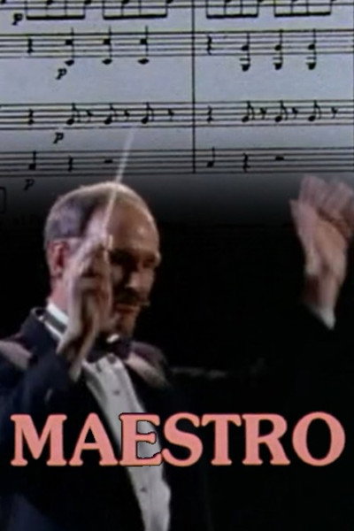 Póster de Maestro