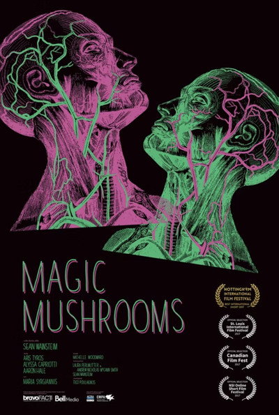 Póster de Magic Mushrooms