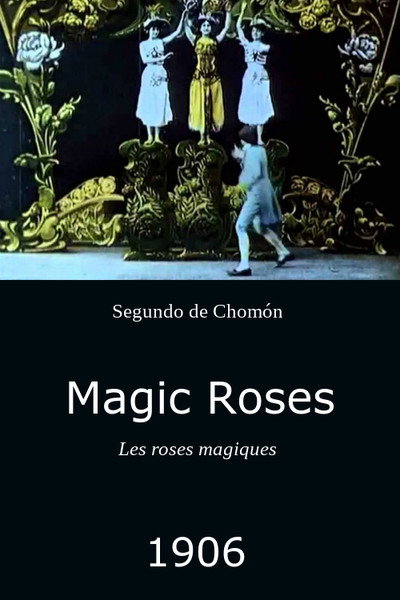 Póster de Magic Roses