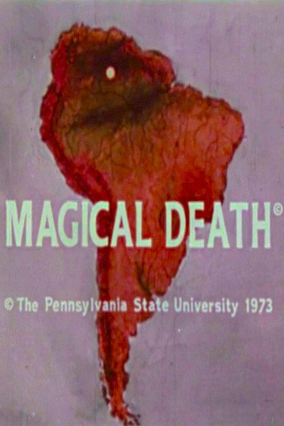 Póster de Magical Death