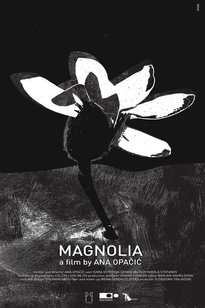 Póster de Magnolia