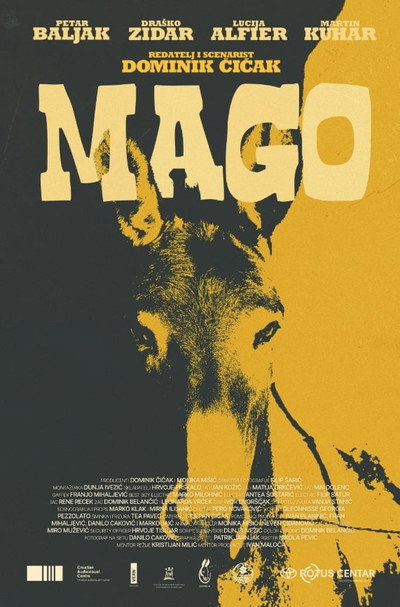Póster de Mago