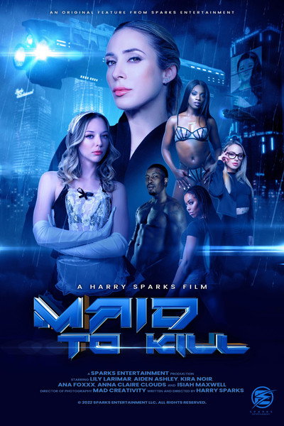 Póster de Maid to Kill