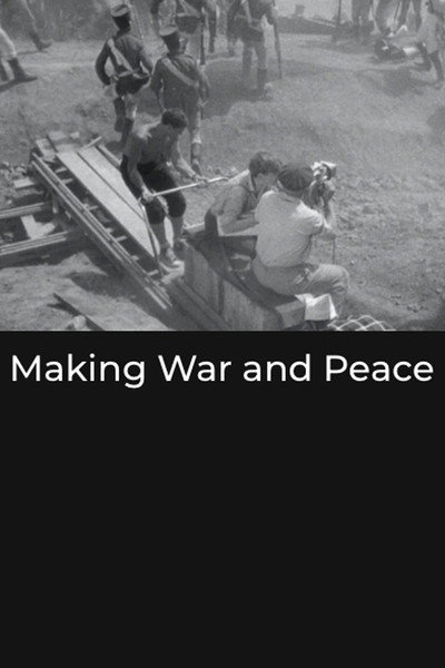 Póster de Making War and Peace