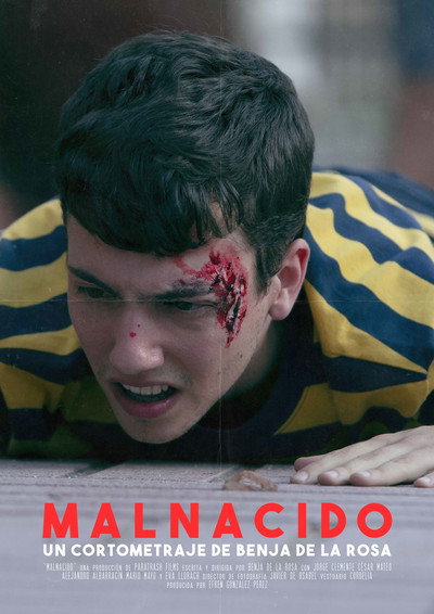 Póster de Malnacido