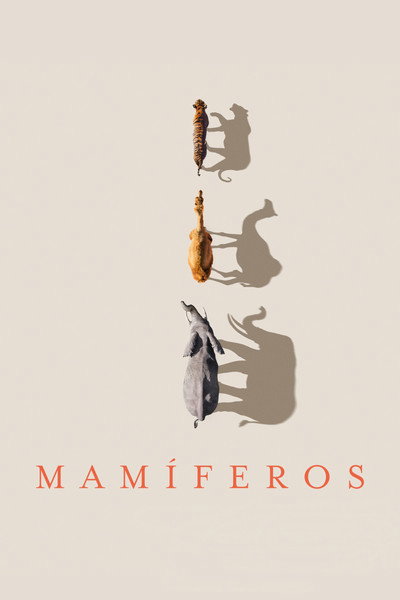 Póster de Mamíferos