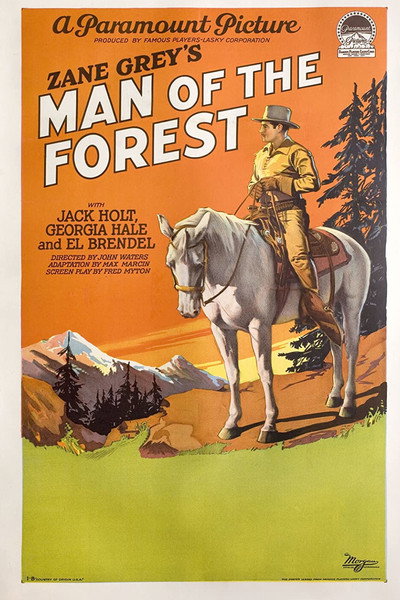 Póster de Man of the Forest