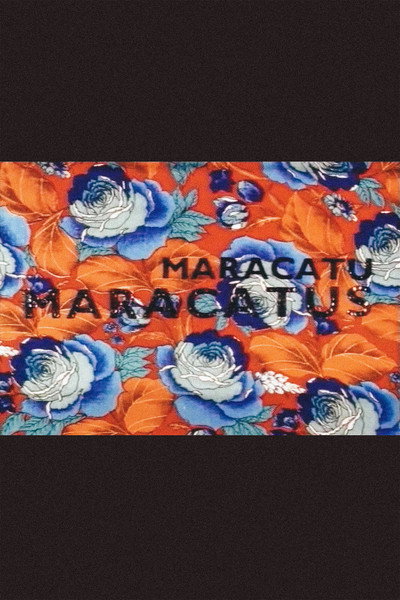 Póster de Maracatu, Maracatus