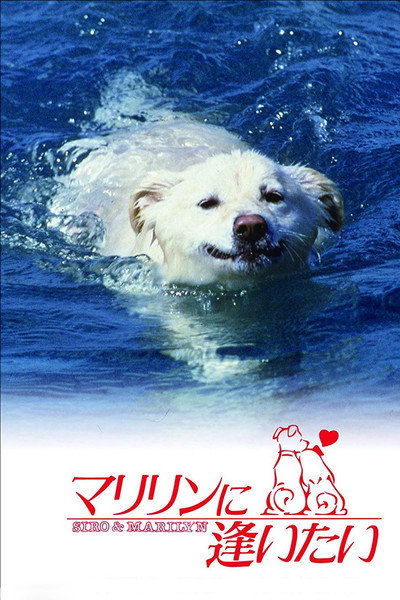 Póster de Marilyn ni aitai