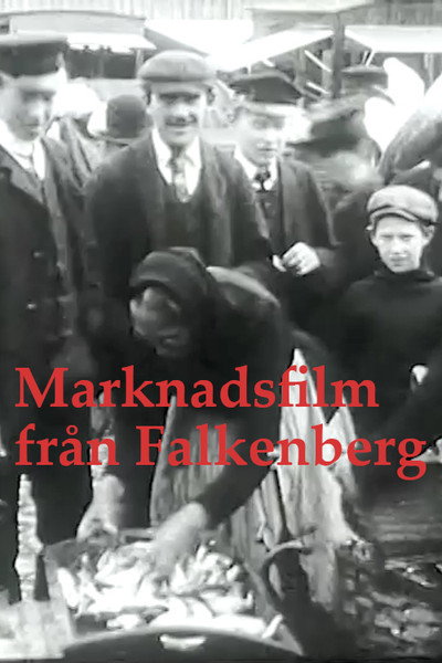Póster de Marknadsfilm från Falkenberg
