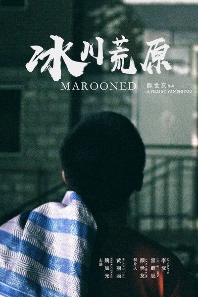 Póster de Marooned