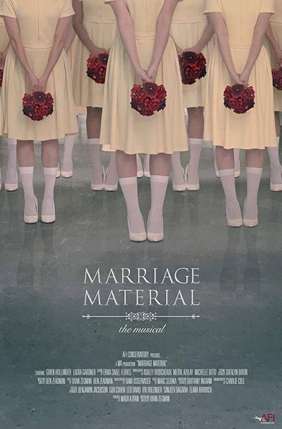 Póster de Marriage Material