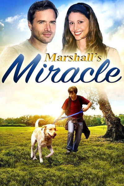 Póster de Marshall's Miracle